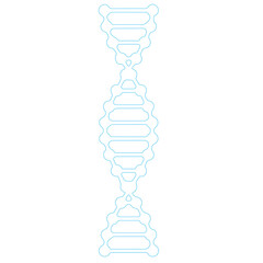 DNA diagram