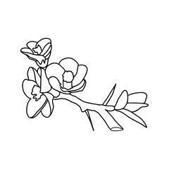 Tree branch with flower drawings. Hand Drawn Botanical Illustrations line art