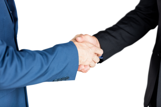 Male executives shaking hands