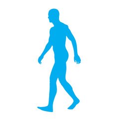 Digitally generated image of human body 