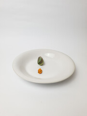 Green Mussel on plate isolated on white background, Fresh New Zealand Mussel or Perna Canaliculus on White Background.