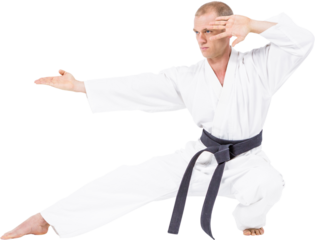 Fighter performing karate stance