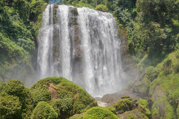 Landscape photo of great water fall on the travel destination Semarang Central Java. The photo is suitable to use for adventure content media, nature poster and forest background.