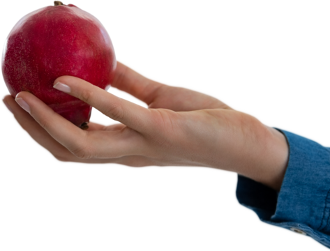 Cropped hand on woman holding pomegranate