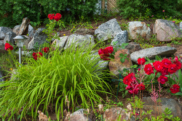 rock garden with solar lamp among red roses and perennials flowers, Quebec country, Canada