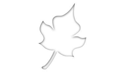 Gordijnen Graphic image of leaf © vectorfusionart