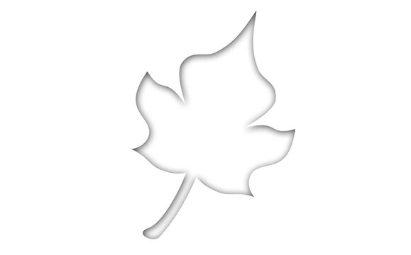 Graphic image of leaf
