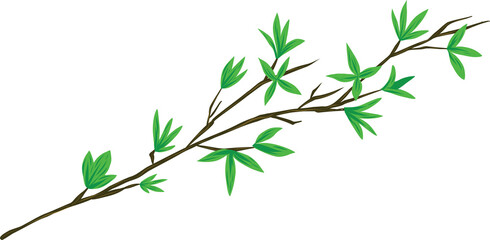 Stem with leaves icon