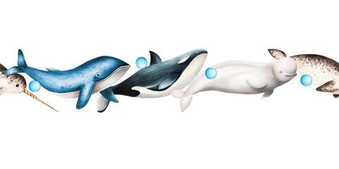 Watercolor border with beluga, blue whale and narwhal isolated on white background. Hand painting realistic Arctic and Antarctic ocean mammals. For designers, decoration, postcards, wrapping paper © Natalia