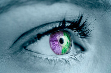 Purple and green eye on grey face 
