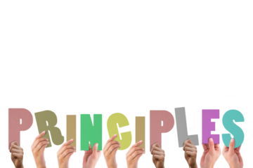 Cropped hands holding colorful word principles 