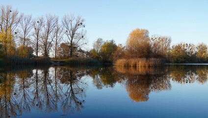 Odbicie jesiennych drzew w tafli jeziora, polska
