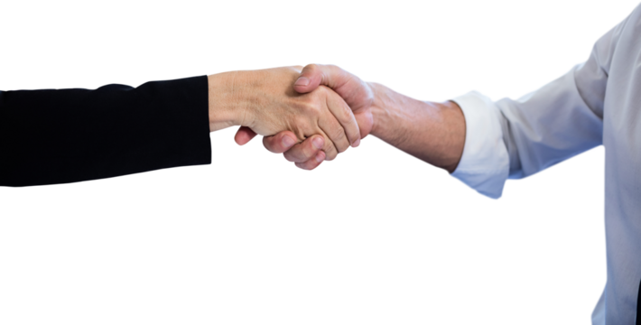 Business partners shaking hands