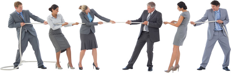 Business team pulling the rope  © vectorfusionart