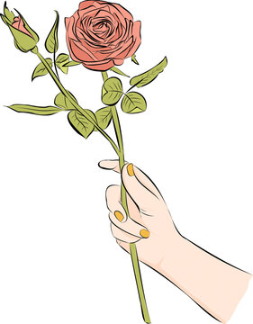 Hand holding rose flower icon