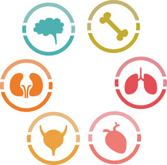 Icons of various human organs