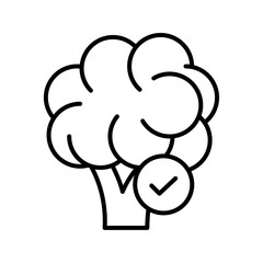 fresh vegetable broccoli