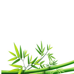 Beige And Green Modern Acne Serum Amazon Product Image - 9