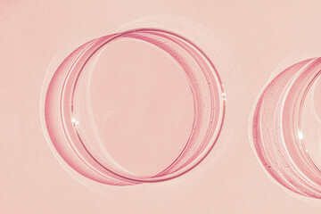 Petri dish. On a pink background.