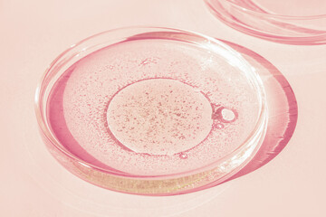 Petri dish. Petri's cup with liquid. Chemical elements, oil, cosmetics. Gel, water, molecules, viruses. Close-up. On a pink background.