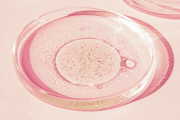 Petri dish. Petri's cup with liquid. Chemical elements, oil, cosmetics. Gel, water, molecules, viruses. Close-up. On a pink background.