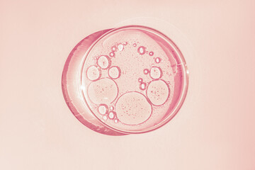 Petri dish. Petri's cup with liquid. Chemical elements, oil, cosmetics. Gel, water, molecules, viruses. Close-up. On a pink background.