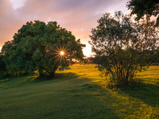 Sunset Over The Park