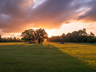 Sunset Over The Park