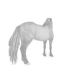 3d horse isolated on white