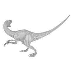 Velociraptor dinosaurs 3