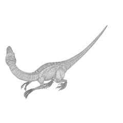 Velociraptor dinosaurs 4