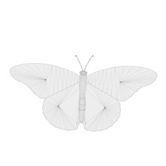 Obraz premium Butterfly vector image material 