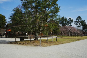 Kamigamo-jinja or Shrine in Kyoto, Japan - 日本 京都府 上賀茂神社 