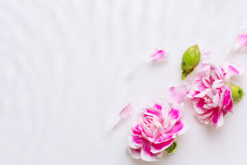 Pink flowers in the water. Waves, water, petals. floral, water Dripping, pouring.