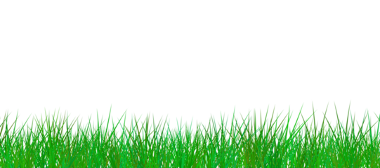 grass against white background 