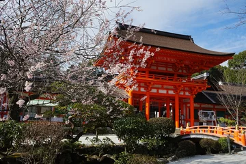 Papier Peint photo Lavable Kyoto Kamigamo-jinja or Shrine in Kyoto, Japan - 日本 京都府 上賀茂神社 春の桜