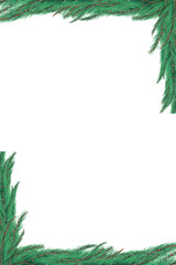 Green fir tree branch frame