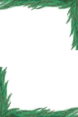 Green fir tree branch frame