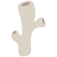 Abstract Coral Shapes