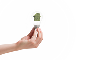 Hand holding environmental light bulb