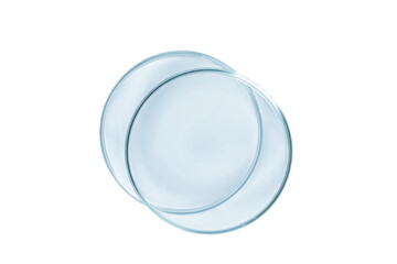 Two Petri dishes empty from blue glass isolated.