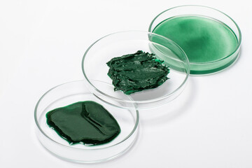 set of spirulina products in petri dishes. Spirulina powder, mask, cream, solution.