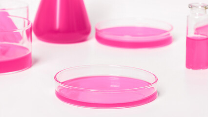 Petri dish for the laboratory with pink liquid. Against the background of laboratory glassware. Petri dishes, flasks, test tubes. On a white, light background.