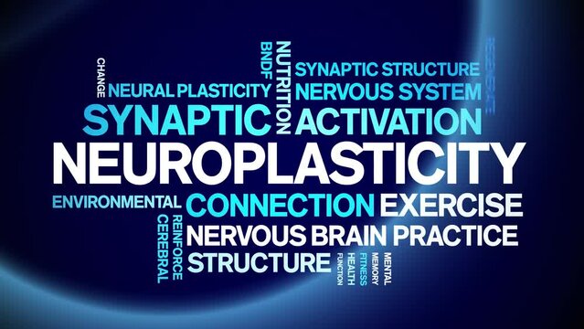 Neuroplasticity animated tag word cloud;text design animation kinetic typography seamless loop.