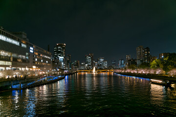 天満橋から中之島を望む夜桜