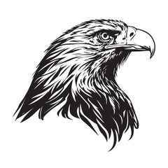 Angry face mascot eagle hawk head. black white line art vector illustration