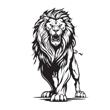 recommend clip art: Angry face mascot muscular lion king. black white line art vector illustration