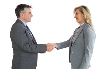 Pleased businessman shaking the hand of content businesswoman