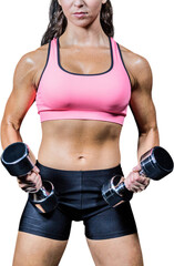 Fototapeta na wymiar Midsection of woman exercising with dumbbells
