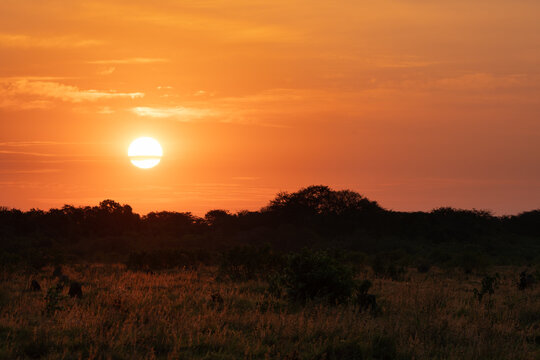 Amanecer llanero en Colombia - Casanare
